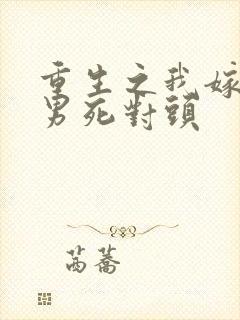 重生之我嫁给渣男死对头