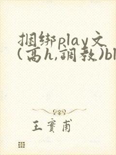 捆绑play文(高h,调教)bl