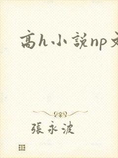高h小说np文