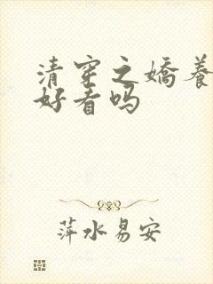 清穿之娇养皇妃好看吗