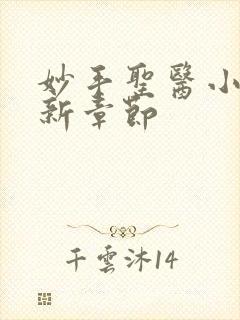 妙手圣医小说最新章节封面