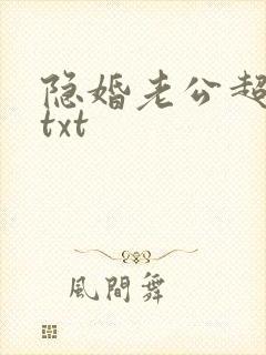 隐婚老公超给力txt