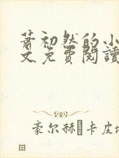 萧初然的小说全文免费阅读