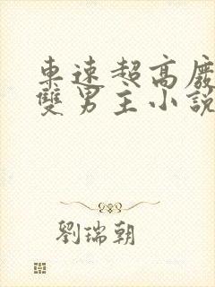 车速超高废文的双男主小说推荐完结