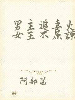 男主追妻火葬场女主不原谅