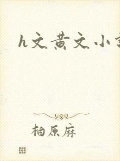 h文黄文小说