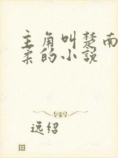 主角叫楚南秦雅柔的小说