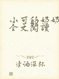 小可的奶奶小说全文阅读