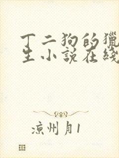 丁二狗的猎艳人生小说在线阅读