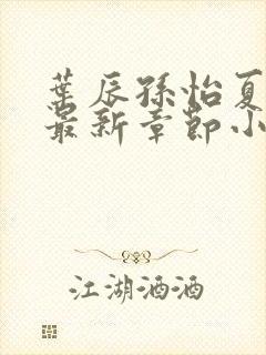 叶辰孙怡夏若雪最新章节小说心