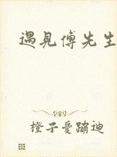 遇见傅先生完本
