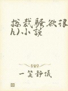 总裁骚欲很大(h)小说