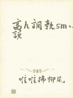 高h调教sm小说