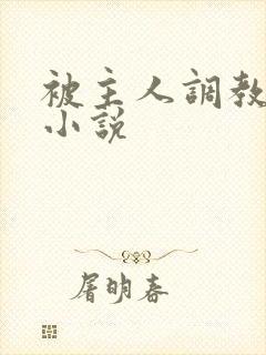 被主人调教sm小说