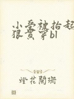 小受被抬起腿狠狠贯穿bl