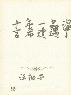 十年一品温如言言希遭遇了什么封面