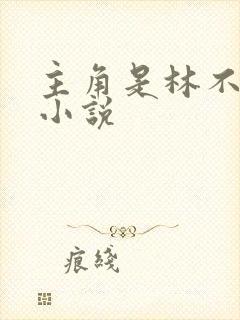 主角是林不凡的小说