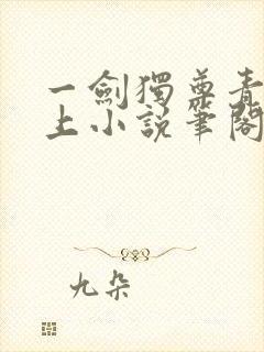 一剑独尊青鸾峰上小说笔阁趣封面