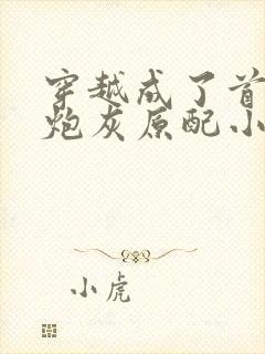 穿越成了首辅的炮灰原配小说