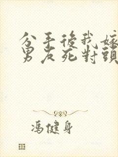 分手后我嫁给前男友死对头宋颜的小说封面