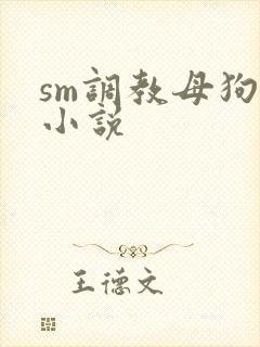 sm调教母狗的小说