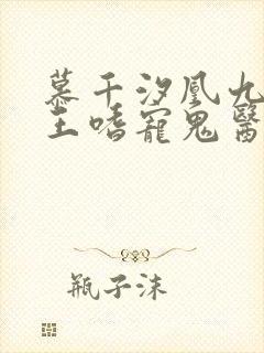 慕千汐凰九夜邪王嗜宠鬼医狂妃