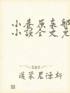 小巷原来那么长小说全文免费阅读