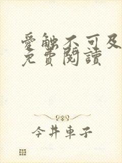 爱触不可及小说免费阅读