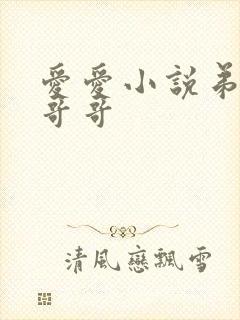 爱爱小说弟弟日哥哥