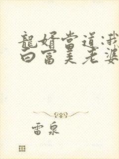 龙婿当道:我的白富美老婆小说