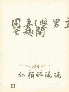 同妻(双男主)笔趣阁