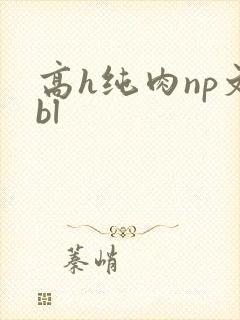 高h纯肉np文bl