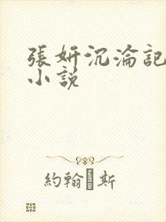 张妍沉沦记原著小说封面