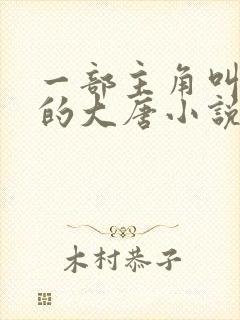 一部主角叫林凡的大唐小说