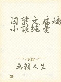 囚禁文病娇偏执小说纯爱