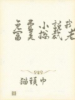 免费小说我的白富美总裁老婆封面