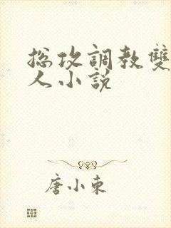 总攻调教双性美人小说封面