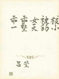 乖乖女被校霸罚一整天的小说