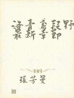 洛青鸢段野小说最新章节