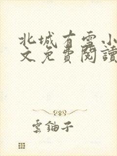 北城有雪小说全文免费阅读无弹窗