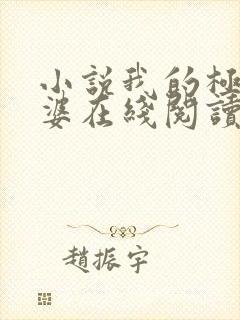 小说我的极品老婆在线阅读全文