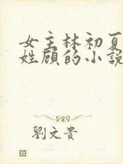 女主林初夏男主姓顾的小说封面