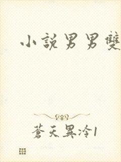 小说男男双性h