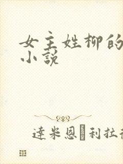 女主姓柳的现代小说