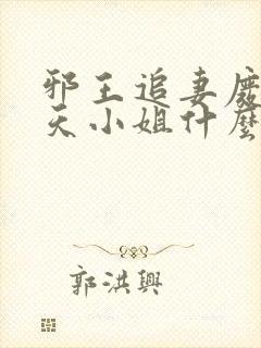 邪王追妻废材逆天小姐什么时候写的