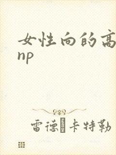 女性向的高h文np