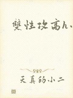 双性攻高h小说封面