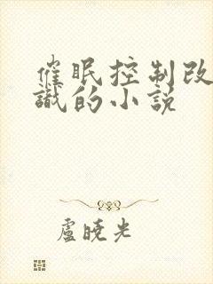 催眠控制改变常识的小说封面
