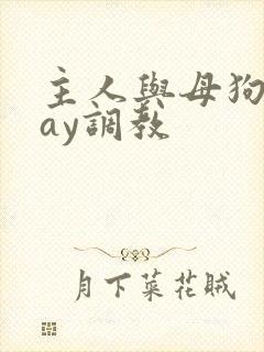 主人与母狗play调教