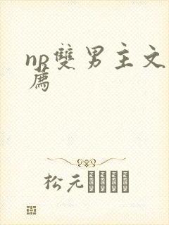 np双男主文推荐
